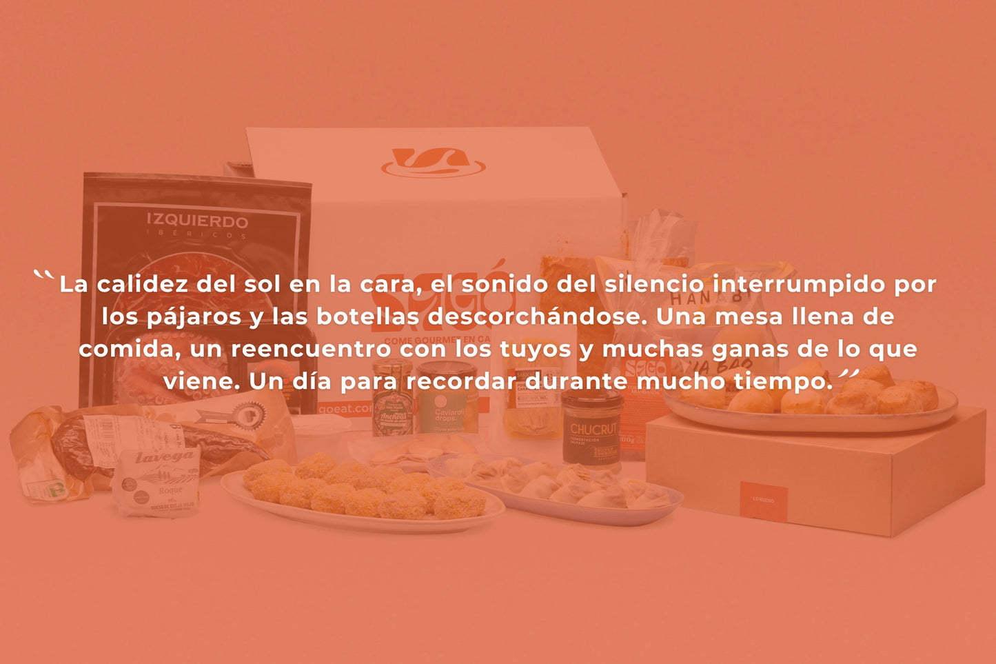 Box Al Aire Libre (16 pers.) - SAGÓ