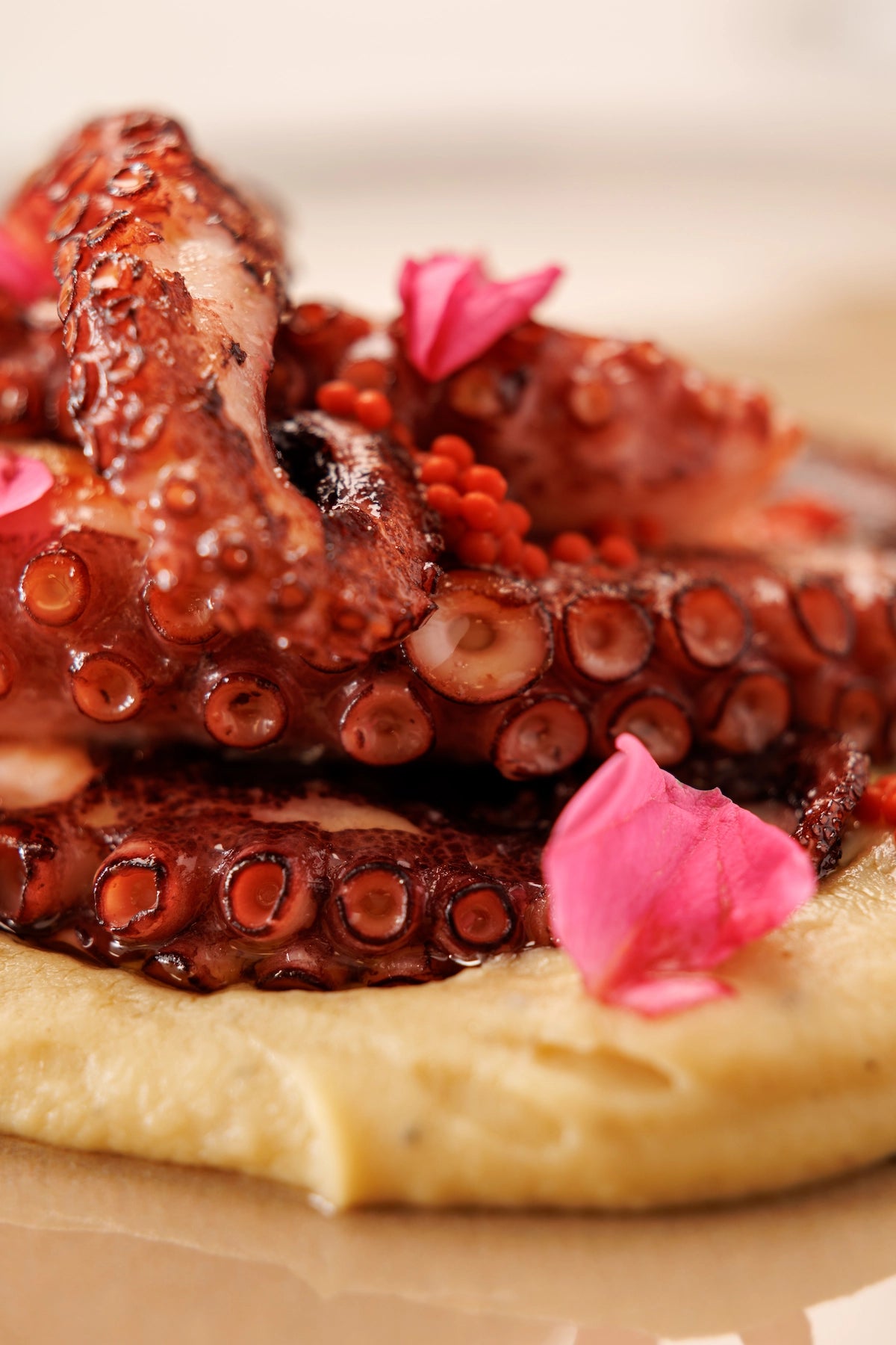 1/2 Pulpo Cocido con base de Puré de Patata y Trufa acompañado de Perlas de Pimentón Ahumado ECO (aprox. 4 pers.) - SAGÓ