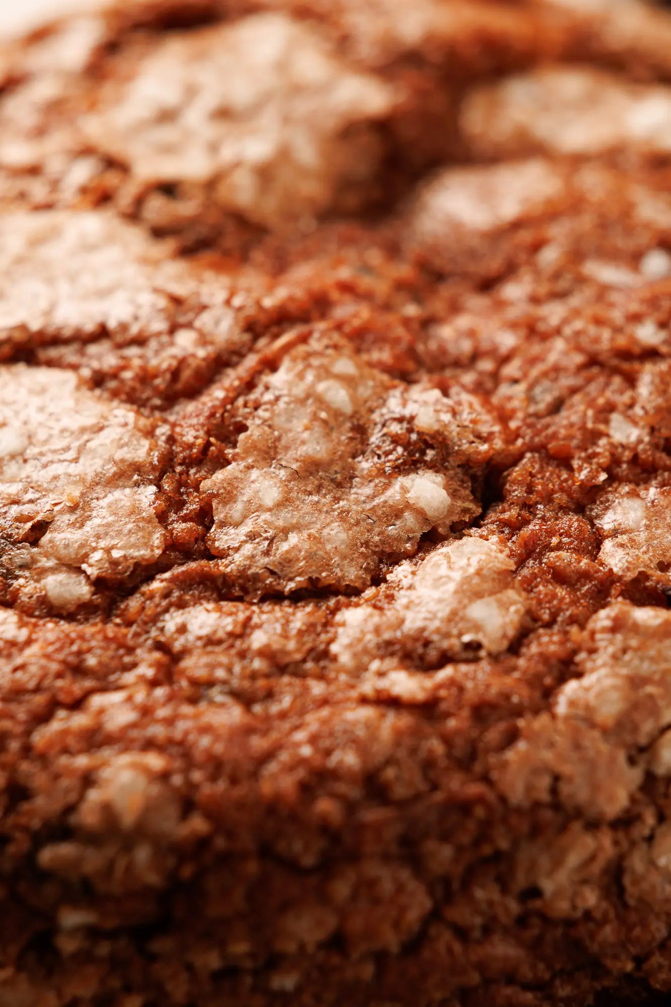 panettone chocolate y naranja