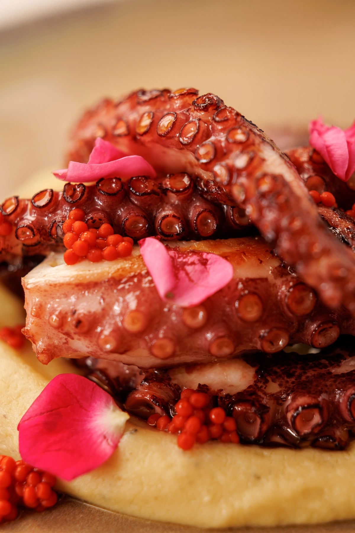 1/2 Pulpo Cocido con base de Puré de Patata y Trufa acompañado de Perlas de Pimentón Ahumado ECO (aprox. 4 pers.) - SAGÓ